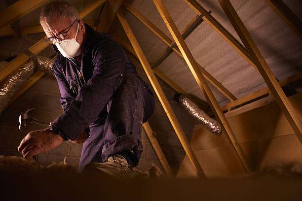 Best Insulation Maintenance and Repair in Orcutt, CA